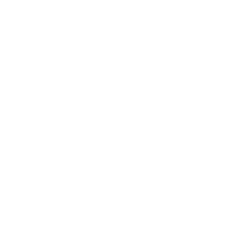 Check icon