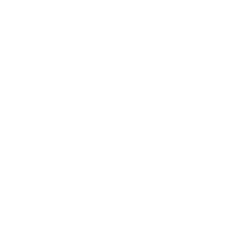Signature icon